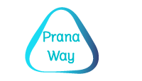 cropped logo de pranaway.png