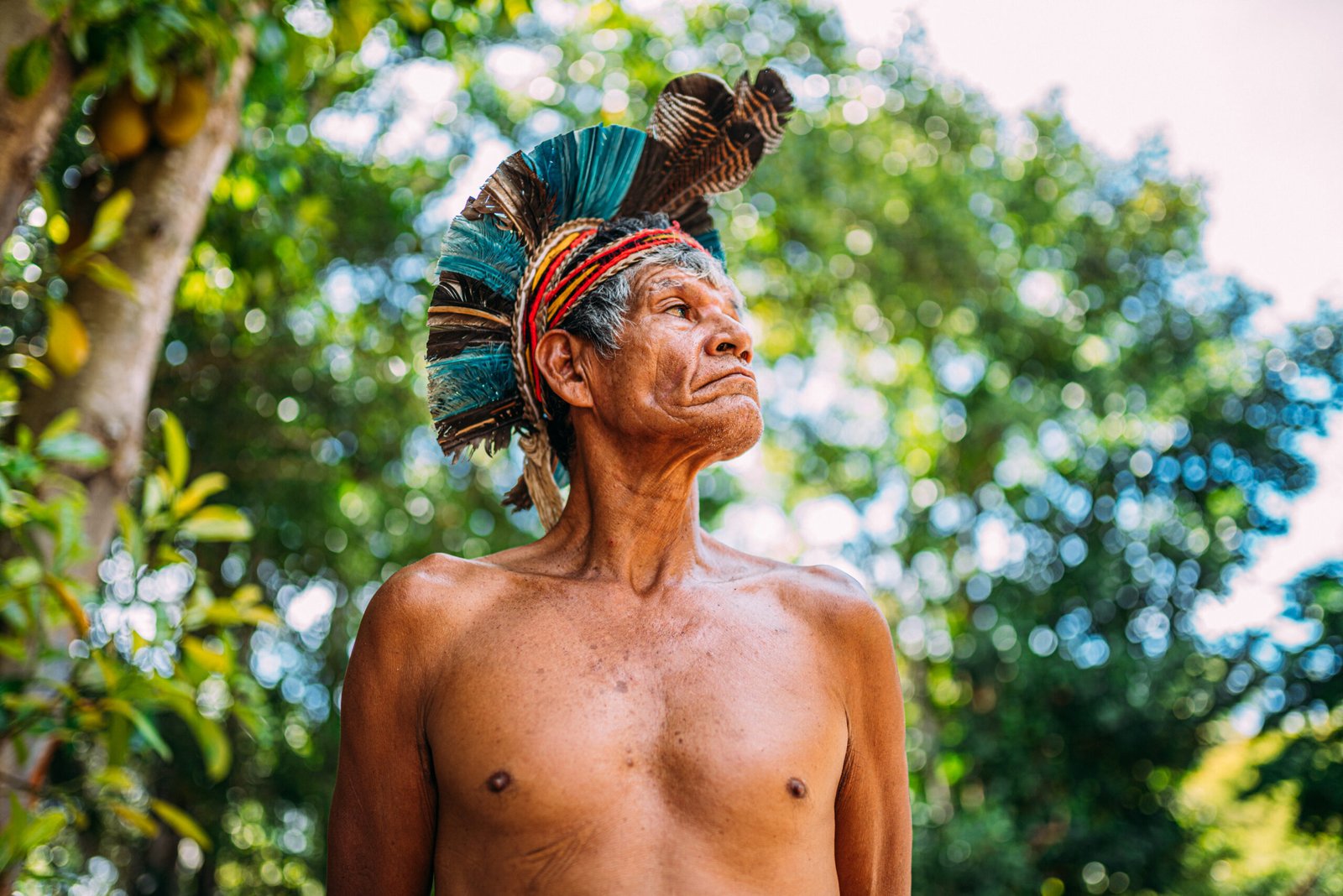 indian,from,the,pataxó,tribe,,with,feather,headdress.,elderly,brazilian